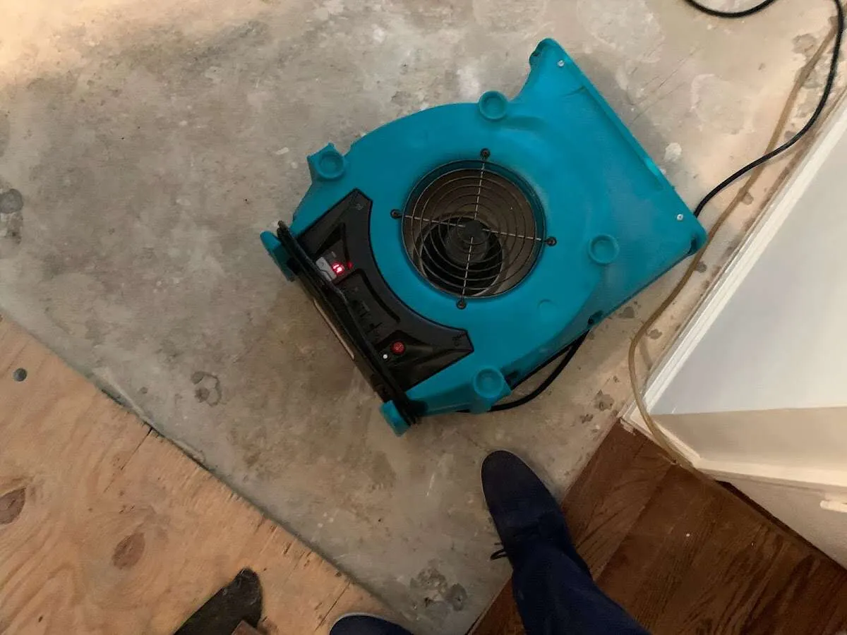 Air mover drying subfloor during Leak Detection & Repair in Maumee